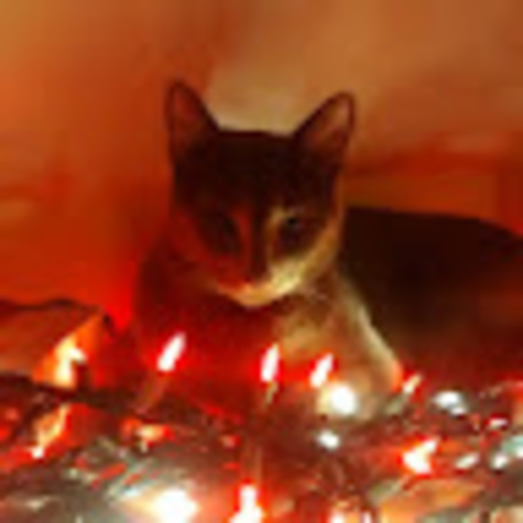 Meet your Posher, Andrew - Picture 1 of 1